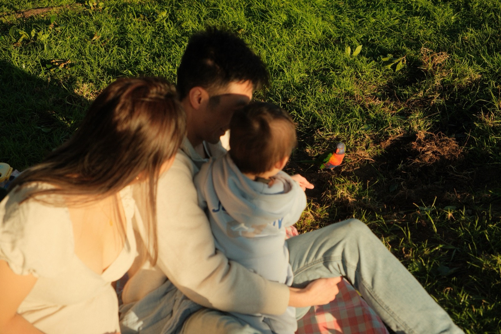 Arthur's first birthday family portrait session, frame 08