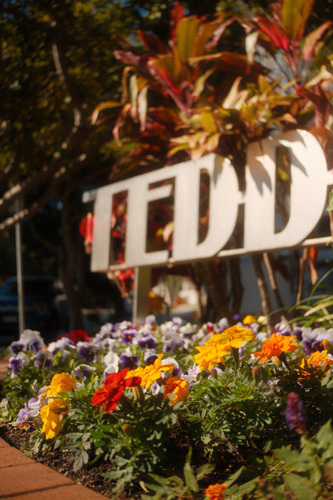Photography sample — click to view full size