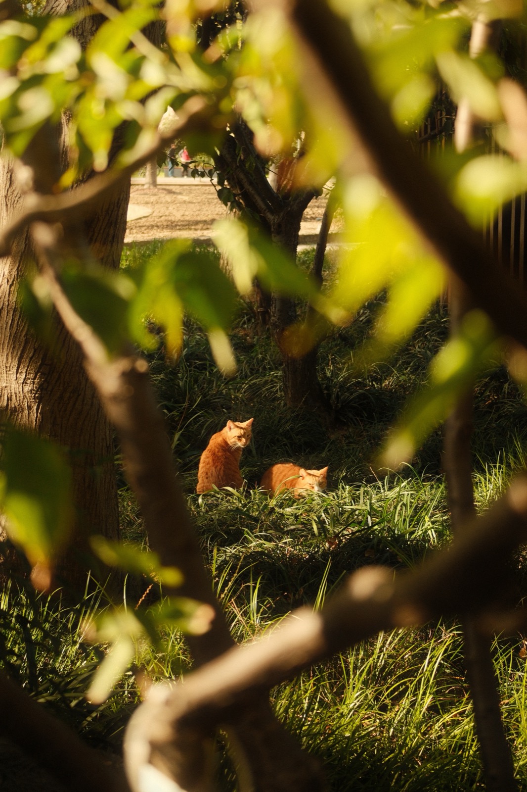 Photography sample — click to view full size