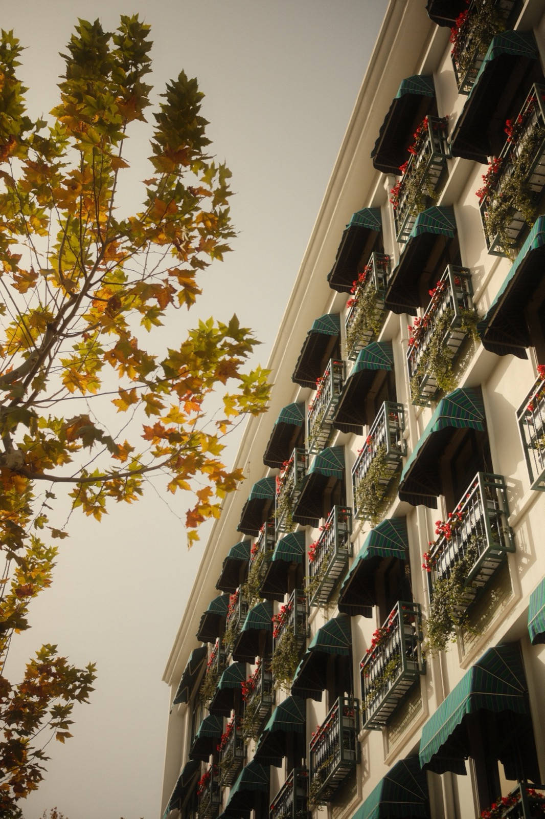 Photography sample — click to view full size