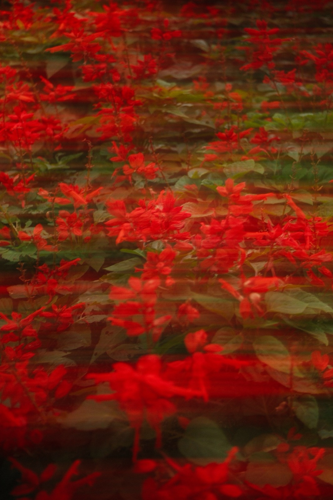 Photography sample — click to view full size