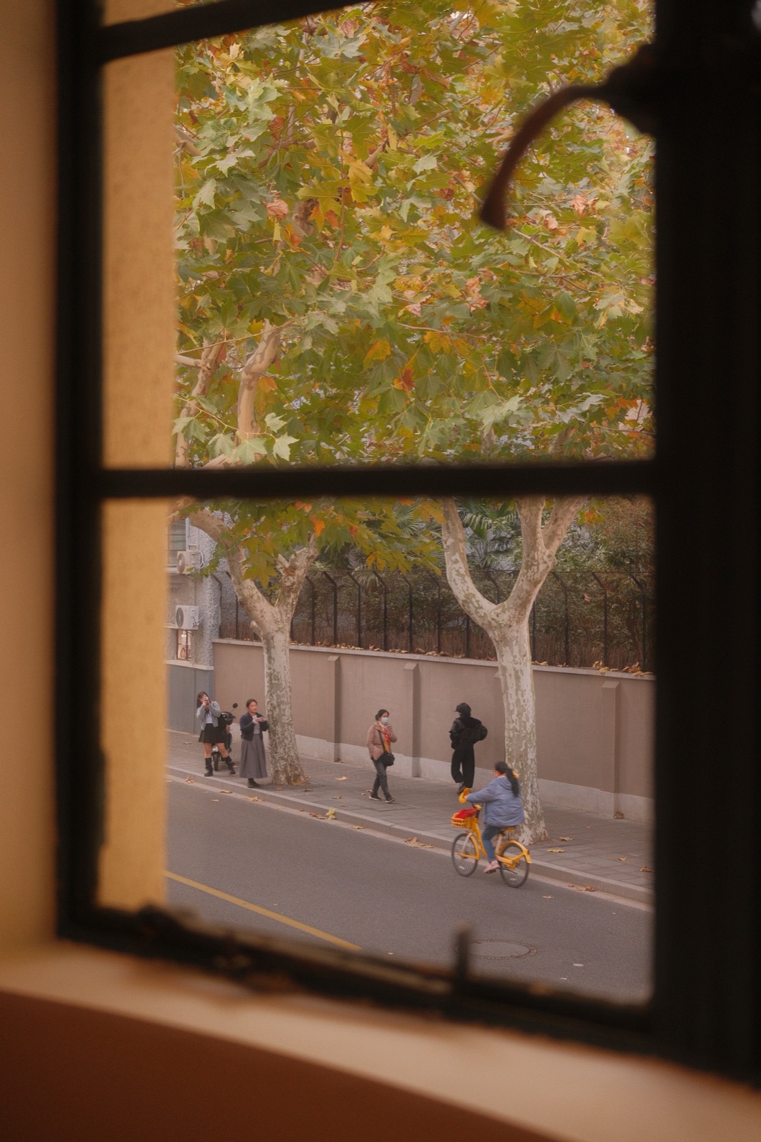 Photography sample — click to view full size