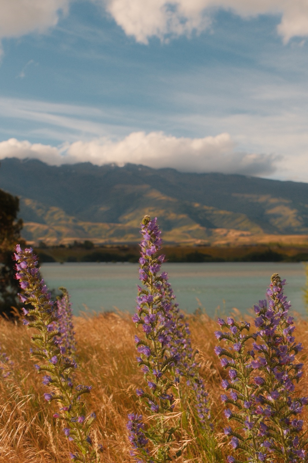 Photography sample — click to view full size