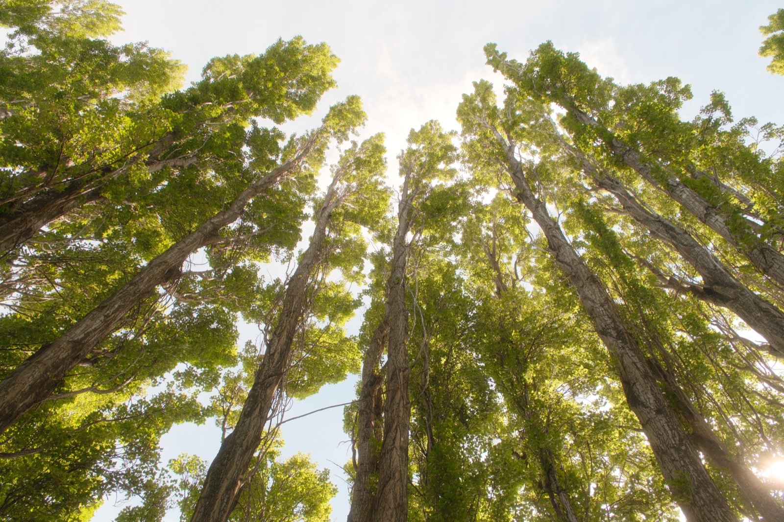Photography sample — click to view full size