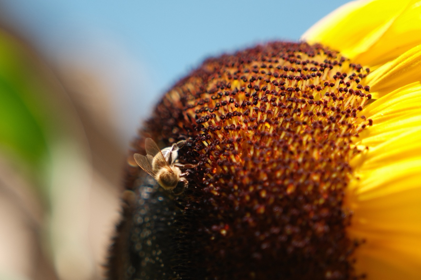Photography sample — click to view full size